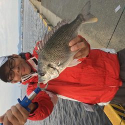 １投目からキビレチヌ釣った。やったぜ＾＾＾